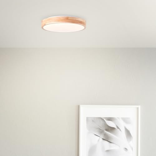 Lightbox LED Wand- & Deckenlampe Ø 50 cm, dimmbar, 24 W Lampe | Moderne Lampe für den Wohnraum mit warmweißem Licht (3000 K), ideal für niedrige Räume