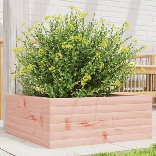 Sufrk Jardinière 60x60x23 cm Bois Massif Douglas Jardiniere sur Pieds,Bac avec Treillis,Jardiniere Terrasse