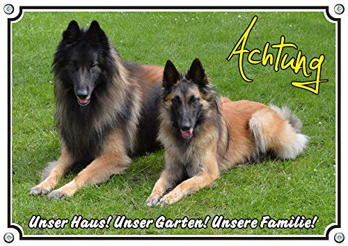 Petsigns Hundeschild - 2 Tervueren - stabiles Metallschild m. belgischer Schäferhund, DIN A4