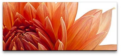 Paul Sinus orange Dahlien Blüte 100x40cm Wandbild auf Leinwand