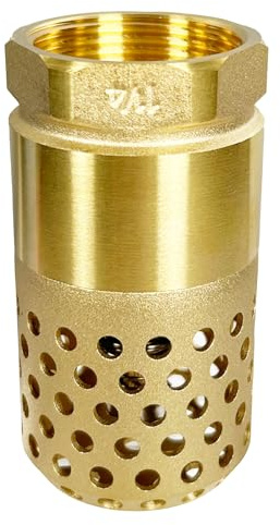 DetailLab 1-1/4 Zoll Saugkorb Gartenpumpe Fußventil mit Rückschlagventil | Rückschlagventil 1-1/4 Zoll für Saugschlauch Handpumpe Gartenpumpe (DN32)