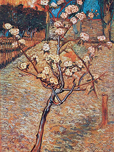1art1 Vincent Van Gogh – blommande päronträd, 1888 affischer, konsttryck 80 x 60 cm