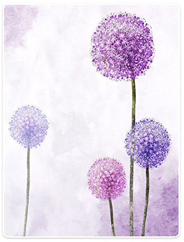 YISUMEI Decke 150x200 cm Kuscheldecken Sanft Flanell Weich Fleecedecke Bettüberwurf Löwenzahn Lila