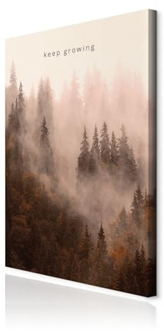 decomonkey Bilder Wald Natur 40x60 cm 1 Teilig Leinwandbilder Bild auf Leinwand Vlies Wandbild Kunstdruck Wanddeko Wand Wohnzimmer Wanddekoration Deko Landschaft Spruch
