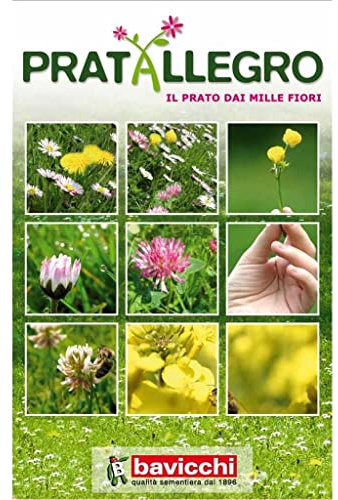 Bavicchi Pratallegro 1kg, il prato dai mille fiori