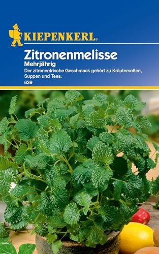 Kiepenkerl Zitronenmelissesamen, mehrjährig 639 - Mehrjährige Kräutersamen - Zitronenfrischer Geschmack - Inhalt für 100 Pflanzen - Saatgut, Samen Kräuter