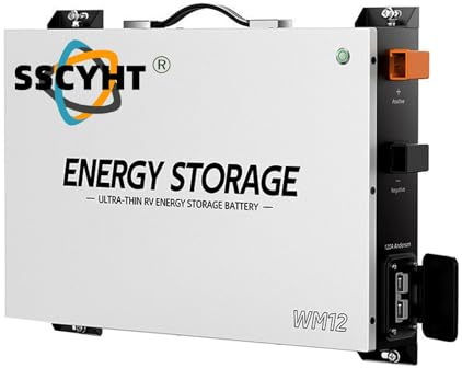 SSCYHT 12v100ah, Batería de fosfato de Hierro y Litio ultradelgada de LiFePO4, portátil, de 12 V, 100 Ah, 80 Ah y 50 Ah, para autocaravanas y Camping.