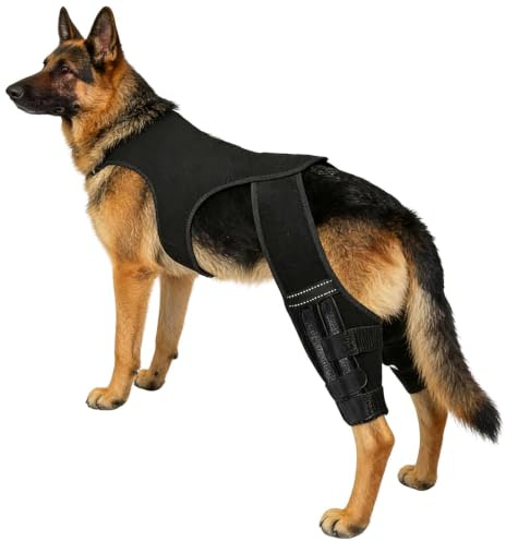 xowwyue Hunde Knie Bandage, Hunde Kniestütze Für Hinterbein Mit 4 Metall Stabilisatoren, Verstellbare Gelenkschutz Für Haustiere, Postoperative Beinstütze