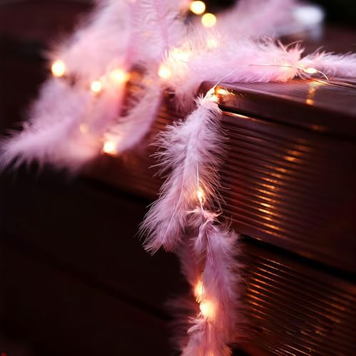 Lichterkette 2m, 20 Federn mit 20 Micro LEDs, Warmweiß Kupfer Lichterkette Batteriebetrieben für Party, Garten, Weihnachten, Halloween, Hochzeit (Rosa)