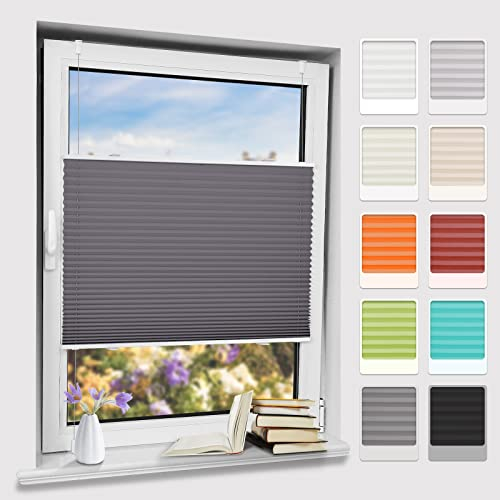 Bernice klemmfix Plissee ohne Bohren, Anthrazit 60x80cm(BxH) klemmrollo mit Klemmträger, abdunkelnde Jalousien zum Klemmen, Blendschutz Fensterrollos für Fenster & Tür