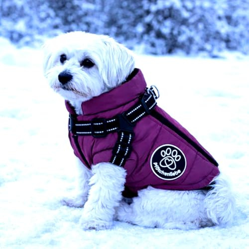 Pfötchenliebe® Wasserfester Hundemantel Extreme wasserdichte Winter Hundejacke mit Reflektoren, Ärmelose gefütterte Weste, Integriertes Geschirr, Perfekt für kalte Tage (Purple, L)