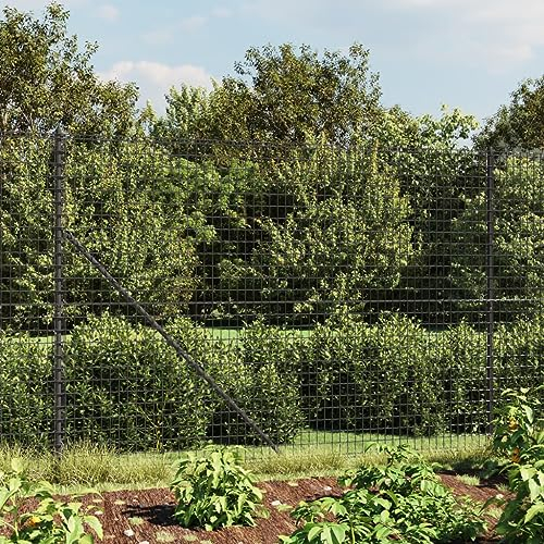 ZEYUAN Maschendrahtzaun Anthrazit 1,8x25 m Verzinkter Stahl, Volierendraht, Wühlmausgitter, Kaninchenzaun, Drahtzaun, Drahtgeflecht, Kaninchendraht, Geflügelzaun - 154205