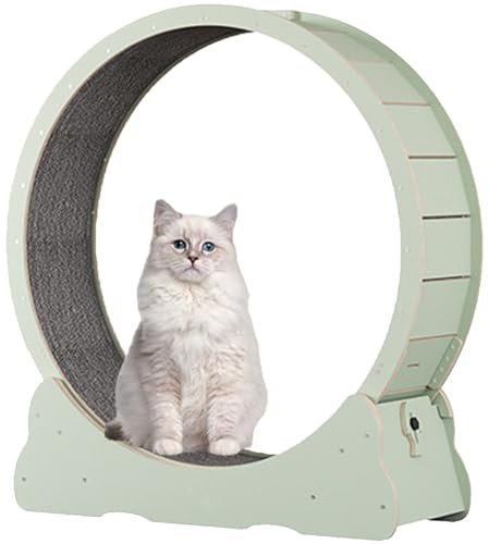 Katzenlaufrad für Hauskatzen, Laufband für Haustiere, mit Bremse, Laufrad für Katzen für die Gesundheit, interaktives Katzenspielzeug, mit Schloss und Teppichboden,Green-L