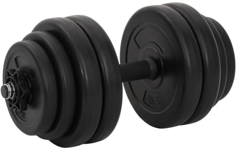 vidaXL Hantlar 2x15 kg