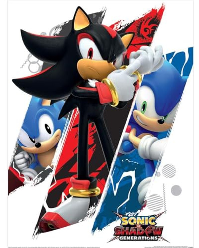 Sonic The Hedgehog Shadow & Sonic Print