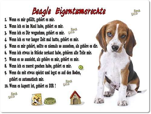Merchandise for Fans Blechschild/Warnschild/Türschild - Aluminium - 15x20cm Eigentumsrechte Motiv: Beagle (01)