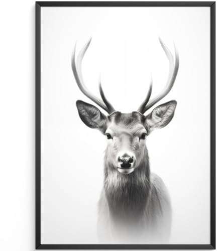 MJ-Graphics - Natur Poster mit Hirsch - Schwarz Weiß Bild | Wandbild Din A3 | FineArt Kunstdruck ohne Rahmen