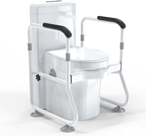 DaoGeSir Aufstehhilfe Toilette Toilettenstützgestell WC Stützhilfe Mit Große rutschfeste Matten, Toiletten Stützgestell Haltegriff Für Bad rutschfest Sicherheitsgestelle Für Senioren