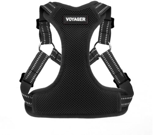 Best Pet Supplies Voyager Adjustable Step-in Flex Breathable Mesh Dog Harness for Small Medium Large Dogs (Black), S