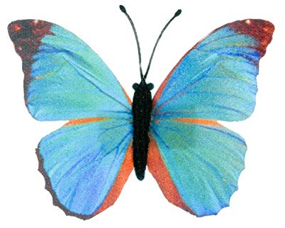 Miniblings Schmetterling Brosche blau Frühling Falter fliegen Textil Insekt | Statement am Revers, montiert in Berlin, in kleiner Serie hergestellt