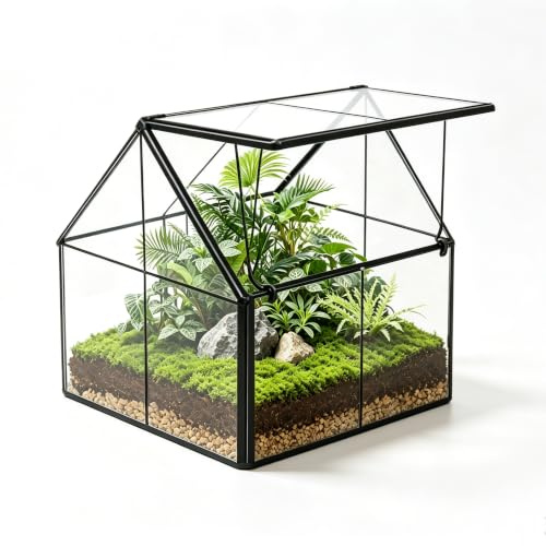 Ferrisland Terrario de Vidrio para Plantas, contenedor Wardian para Interiores, pequeño terrario suculento con Puerta para decoración de Mesa, Regalo de Bricolaje, 5 x 4.3 x 4.3 Pulgadas