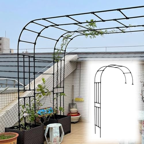 Arche de jardin en métal résistant aux intempéries - Support pour plantes grimpantes - 220 300 cm - Demi arc pour roses - Cadre de pergola durable - Design élégant noir