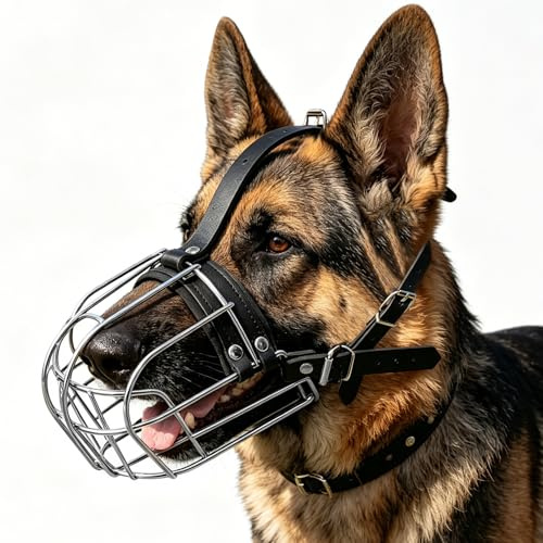 Metall Maulkorb für Mittelgroße, Hundemaulkorb Große Hunde Verstellbarer Langlebiger Metallkorb zum Beißen Kauen Bellen Training Tierarzt M