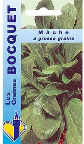 Sachet de graines de Mâche à grosse graine - 5 g - légume feuille - LES GRAINES BOCQUET