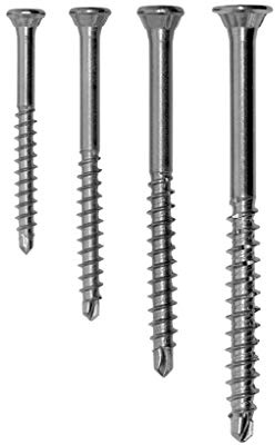 BioMaderas Terrassenschrauben Edelstahl rostfrei - TX25-5 x 40-80 mm - Hartholz/Tropenholz geeignet (AISI 410) (5,0 x 60 mm, 50)