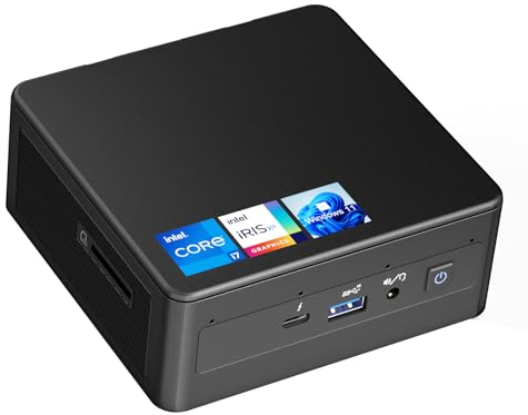 Intel NUC 11 Panther Canyon Mini PC, Core i7-1165G7, 16 Go de RAM, 512 Go de SSD, Win 11 Pro, Mini Ordinateur, LAN 1000 M/WiFi 6/BT5.2, Ordinateur Professionnel pour Bureau/école/Maison (NUC11PAHi7)