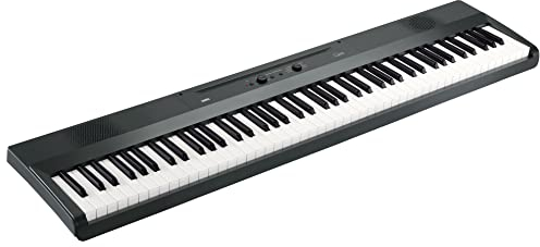 Korg 88 Tragbares Digitalpiano mit halbgewichteten Tasten und integrierten Lautsprechern, mit Sustain-Pedal, Notenständer und Netzteil, Grau (L1MGRAY)