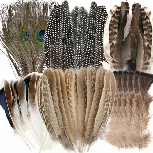 Deepton 48 Stück Federn, Federn zum Basteln, Bastelfedern 5 Stile Deko Bastelfedern, Gemischte Natürliche Fasanenfedern für DIY-Projekte, Hüte, Masken und Festdekorationen