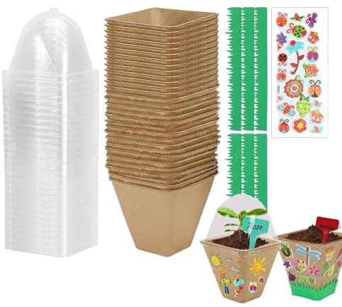 Kit per piantare bambini - Giocattolo educativo da giardinaggio, attività interattiva di coltivazione di semi, set di artigianato per l'apprendimento della natura multi scenario | Starter kit di piant