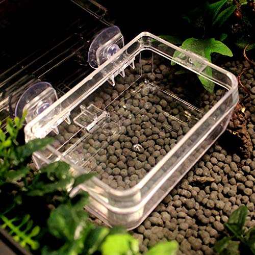KIMISS Nourriture pour Reptiles, Eau, Bols de Roche, Amphibiens, Mangeoire Anti-Fuite, Bassin d'alimentation pour vers, Tortue, Lézard, Bol sur Chenilles, Fournitures pour Animaux de