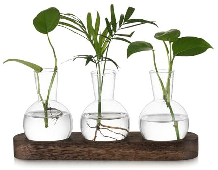 Hewory Propagation Station Propagators for Plants: Desktop Glass Terrarium Bulb Vase Gifts for Plant Lovers - Small Glass Vase Terrarium Jar With Wood Tray For Houseplants Cuttings Windowsill, 3pcs