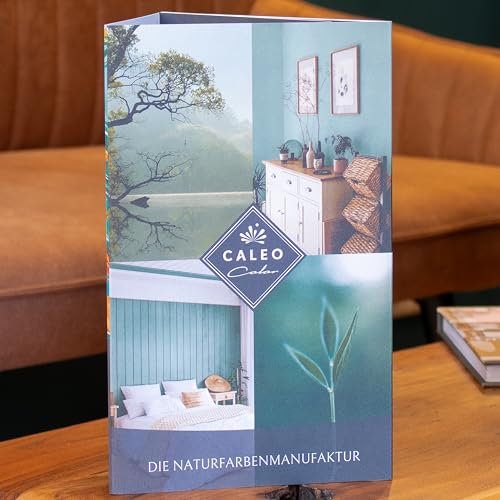 Caleo Color Echtfarbfächer: Farbkarte mit Echtanstrichen, 103 Farbtöne