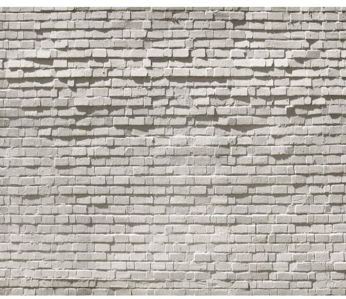 murando - Fototapete Ziegel Optik 400x280 cm - Vlies Tapete - Moderne Wanddeko - Design Tapete - Wandtapete - Wand Dekoration - Steintapete Steine Stein Mauer Steinoptik 3D f-B-0138-a-a | Full HD Druck, 3D-Effekt, lichtbeständige Farben, ideal fürs Wohn- oder Schlafzimmer, schnelle Montage, lichtbeständig, edel