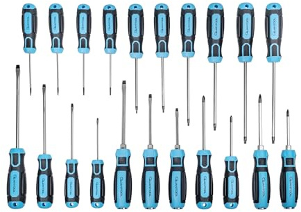 Quantool Schraubendreher-Set 21-teilig - ergonomische Griffe, magnetische Spitzen - aus Chrom-Vanadium-Stahl - inkl. Torx, Schlitz, Phillips, Pozidriv - für Heimwerker, Werkstatt, Reparatur - Q25021
