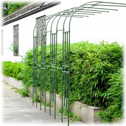 Arche de jardin en métal pour plantes grimpantes de 240 cm - Demi treillis de rose décoratif - Arche murale verte - Support d'arc de jardin pour vignes et fleurs - Décoration de paysage extérieur