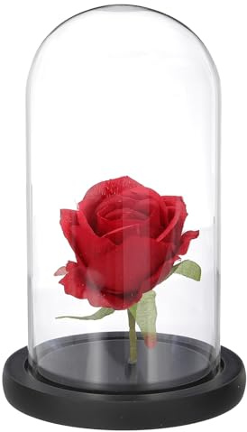 QUARKZMAN Cúpula De Vidrio para Exhibición Campana De Cristal 7.4 x 3.9 Vitrina con Base De Madera para Mesa Tarro Decorativo Campana De Cristal Negro