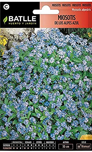 Semillas Batlle Miosotis de los Alpes, azul