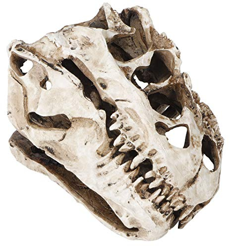 Yctze Cráneo de Dinosaurio de Resina, Personalidad, Esqueleto de Animal, Adornos, Accesorios, Colección de Halloween, Decoración Artesanal, Decoración Perfecta, Regalos, Mano de Obra