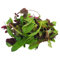Westlands Baby Leaf Salad, 120g