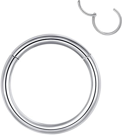 Popuhoops Hypoallergenic Hinged Hoop Nose Rings 20G 18G 16G 14G 12G 10G 8G Diameter 5mm to 16mm 316L Surgical Steel Septum Ring Body Piercing Jewelry Nose Helix Cartilage Rook Earrings