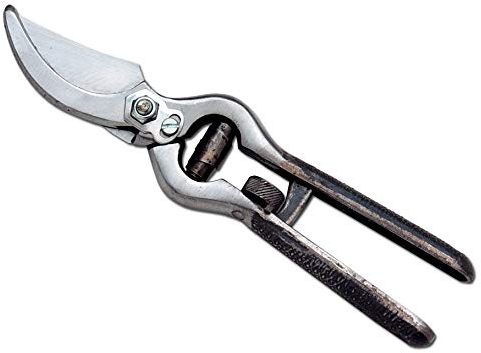 AUSONIA - 31006 Sécateur professionnel pour tailler le vignoble de 23 CM forgè avec fermeture de securutè a roulette