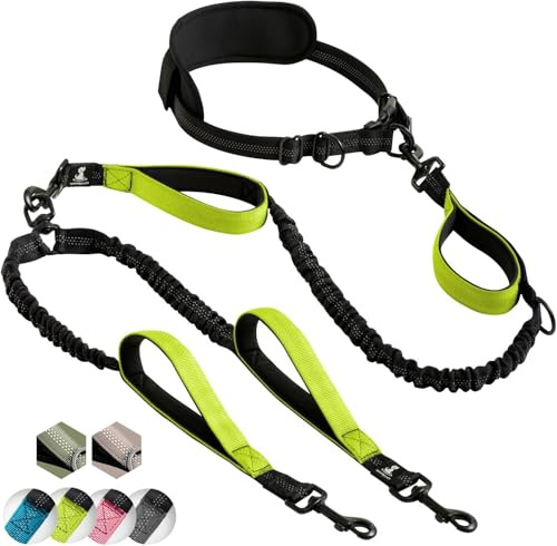 Laisse mains libre pour 2 chiens grande et moyenne taille – laisse anti-traction avec coutures réfléchissantes pour chien - accessoire chien pour le jogging, la marche à pied, la randonnée, l’escalade