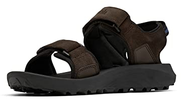 Columbia Trailstorm Hiker 2 Strap Trekkingsandalen für Herren, Braun (Bark x Black), 42 EU