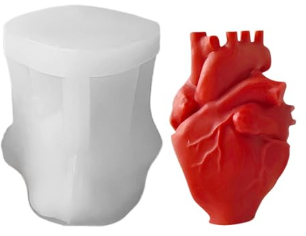 Stampo anatomico a forma di cuore – modello di torta in silicone 3D, strumento di formatura realistico | Non -STIAK – Vassoio per la produzione di cupcake al cioccolato, muffin resina argilla cemento