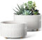 LE TAUCI Succulent Plant Pot, 16.5+20 cm Ceramic Indoor Plant Pots with Drainage Holes, Modern Cylindrical Decorative Bonsai Pot, Gifts for Mom, Set of 2, White