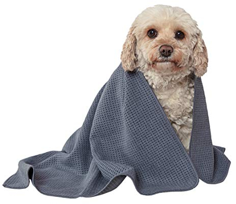 Eureka WhirlWind Aspirapolvere senza sacco, aspirapolvere a traino, aspirapolvere potente silenzioso con cavo per tappeti, pavimenti, pelo animale e polvere, 700W, 1,5L, blu